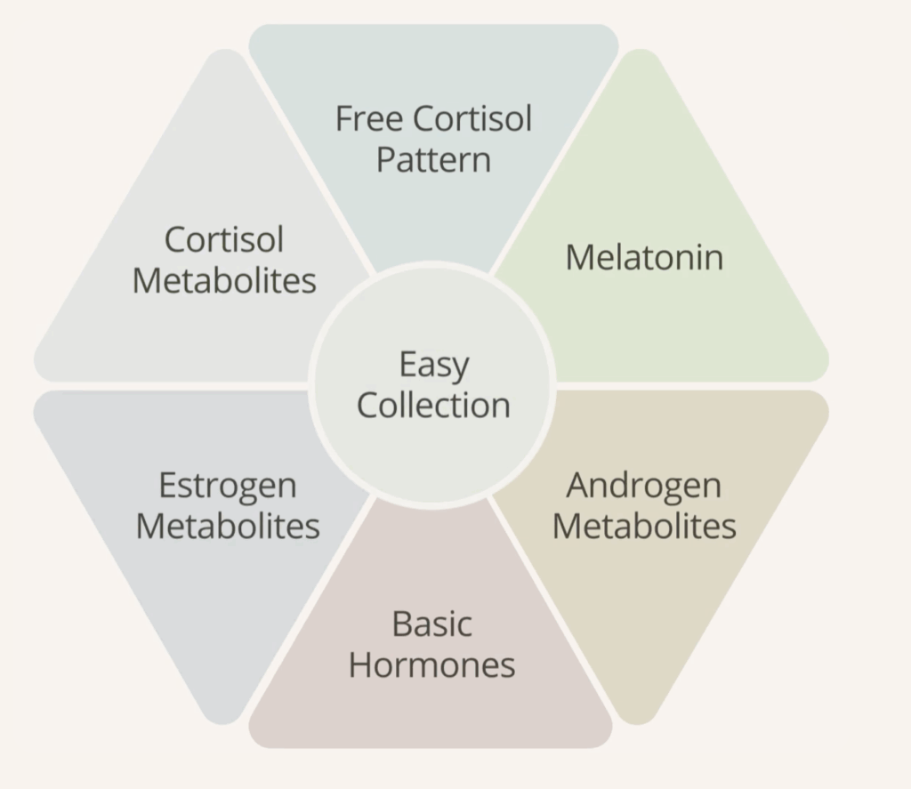 dutch test urina en casa perfiles metabilicos